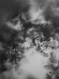 les fils de Nyx 1 - Les nuits tombées